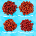 CHAMOY VARIETY 4-PACK