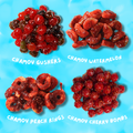 CHAMOY VARIETY 4-PACK